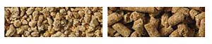 Chicken Feed